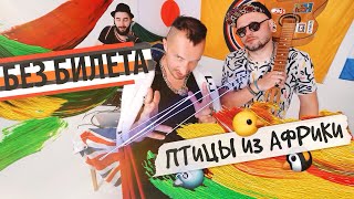 Без Билета - Птицы Из Африки | Ремейк