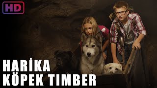 Harika Köpek Timber | Film