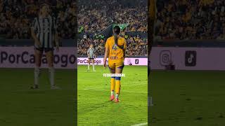 IY8s8szI1As Video Image