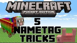 Minecraft Pocket Edition | 5 Nametag Tricks ( Colored Name, Rainbow Sheep And More )