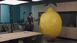 Pomalo Začudan - Lemonish, Ostalo Su Limunadice.