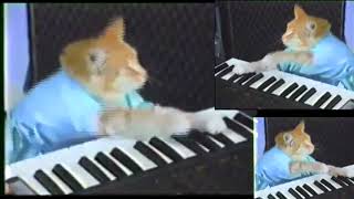 Keyboard Cat (Remix)