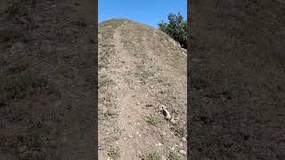 Walking In Duztahir Village