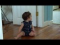 52 - 'Lil Bella Chasing Bailey the Cat