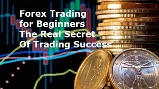 Forex trading software for beginners
