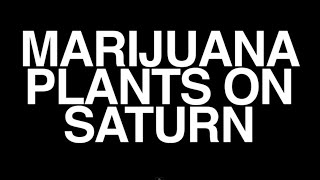Watch Mac Lethal Marijuana Plants On Saturn video