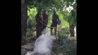 Kasippu Tvbatti