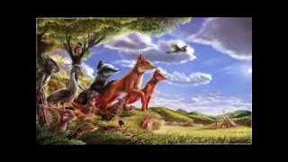 Animals of Farthing Wood Reviews S.1-Ep.1 A Wood in Danger