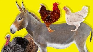 Çiftlik Hayvanlarını Öğreniyoruz | Çocuklar İçin Hayvanlar | Gerçek Hayvan Sesle