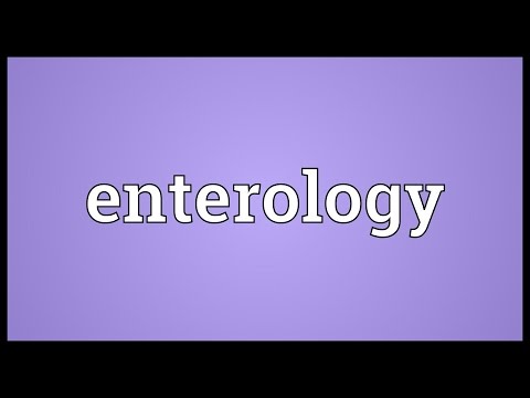 Header of enterology