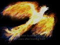 Myth of The Phoenix