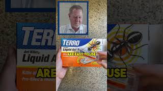 Are Ant Baits The Best Ant Killer?