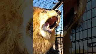 Hungry For Food