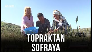 Topraktan Sofraya – Sivas | 31 Temmuz
