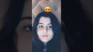 Live Chat