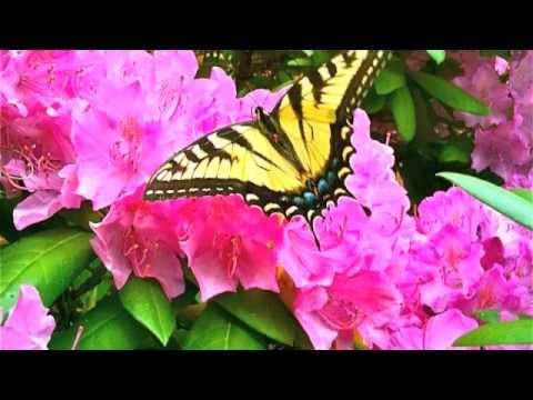 tumhaari nazron mein hamne dekha..kumar sanu & asha