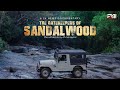 The Gatekeepers of Sandalwood | 24 News Documentary | Marayoor Sandalwood