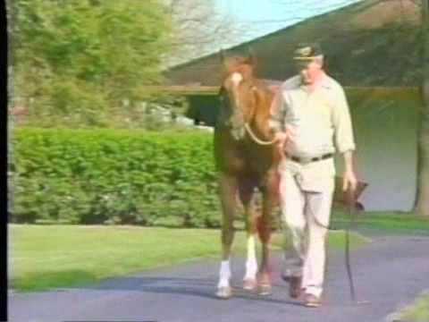  dvd is the Official Secretariat Video licensed by owner Penny Chenery