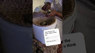 Bahrain Perals
