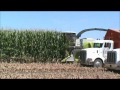 COELHO CUSTOM CHOPPING (CHOPPING CORN)