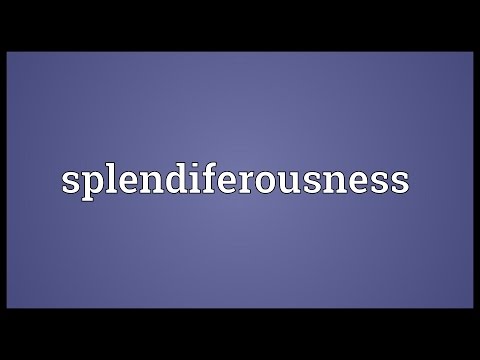 Header of splendiferousness