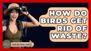 How Do Birds Get Rid Of Waste? - Bird Watching Diaries