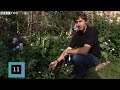 20 Second Tips - Edible Borders with Simon Ginger - RHS Chelsea Flower Show - BBC Two