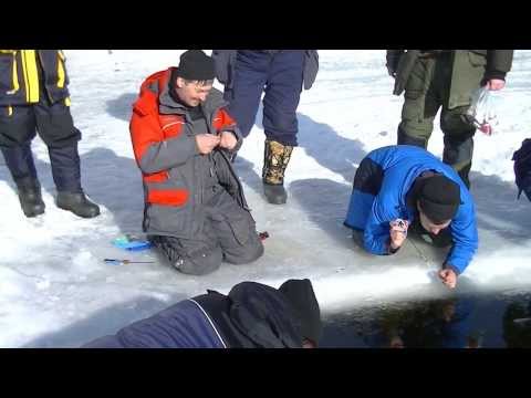 рыбалка на кубенском озере форум сорога ру рыбалка на кубенском озере форум сорога ру