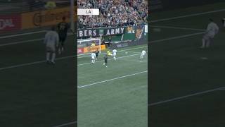 Iat7PfrvH40 Video Image
