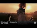 Shiro Sagisu - Compassion (Rayden Remix)