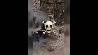 Ooooooohhhhh...