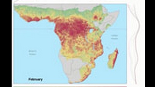 Fluctuations Triggers Ebola Virus Spillover