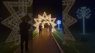 Wonderlights Malahide 2024 Top 1 To Visit
