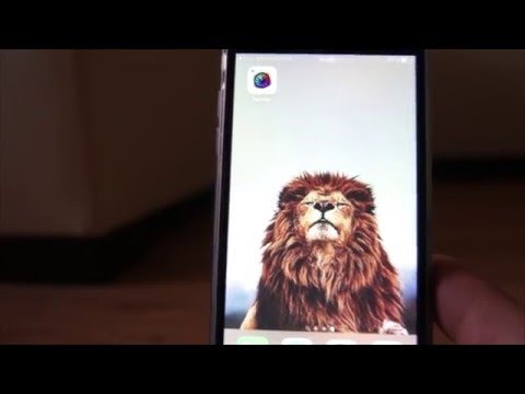 Пила из подручных материалов / Гостевая / НеПропаду От чего помогает цинковая мазь