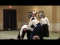 ASNJ Nidan Test (2nd Degree Black Belt)