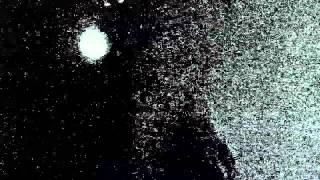 Watch Cate Le Bon What Is Worse video