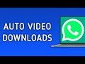How to Allow Automatic Download for Videos in WhatsApp on PC