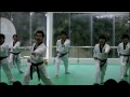 360, 540, 720, Back Flip Kick by Hyun Taekwondo