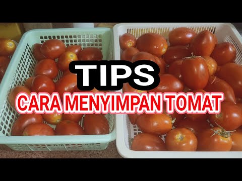 Cara Menyimpan Tomat Agar Tahan Lama Dan Tidak Cepet Busuk Berbulan Bulan // cerita tkw arab