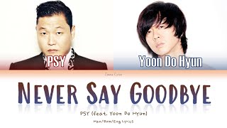 Watch Psy Never Say Goodbye video