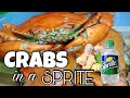 Crabs in a Sprite | Easy & Quick Recipe #Crabs