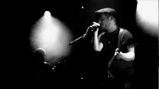 Watch Green Lizard Speak The Words video