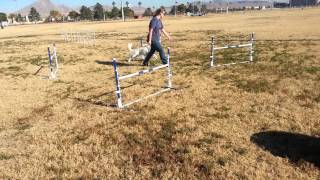 Patron Jumping Skills