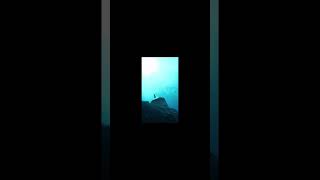 Megalodon Vs Shonisaurus