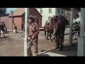 Online Film Support Your Local Gunfighter (1971) View