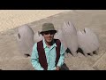 videoSXS