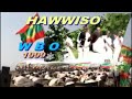 HAWWISO WBO-1999 *OROMO SABNI KOO