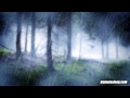 view Thunder Song