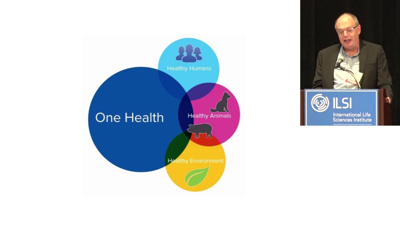 Free ACAFP Webinars