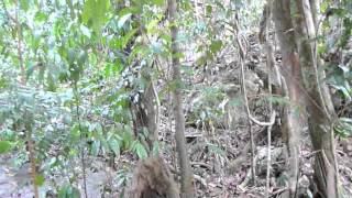 Arisan Brondong Full Movie Film Indonesia Film Terbaru 2014 Hd Arisan Brondong Full Movie Film Indonesia Film Terbaru 2014 Hd